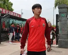 与斯内德同在国家队和俱乐部队友有哪些