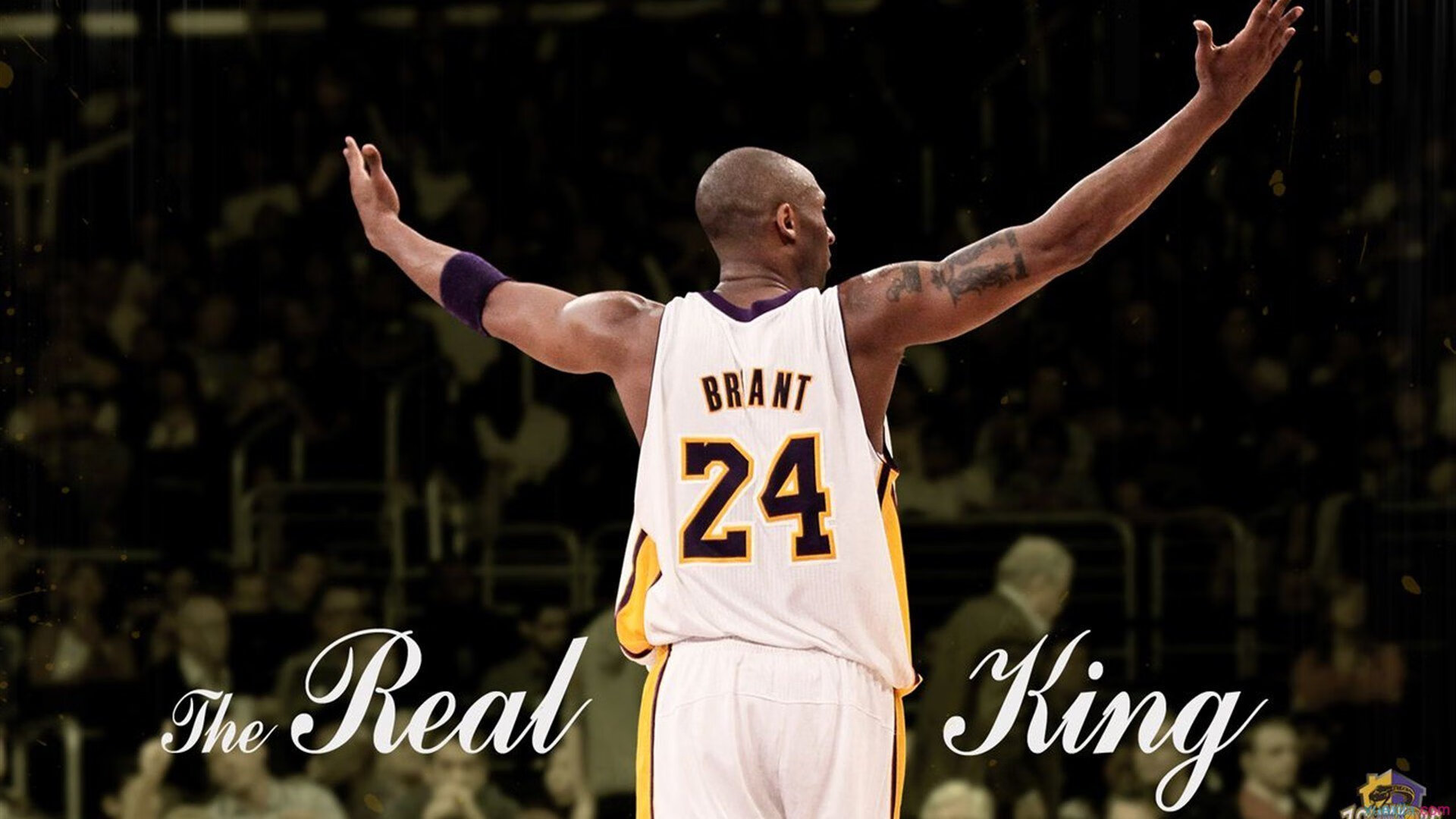 2025印第安维尔斯赛对阵最新消息