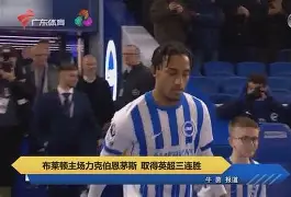 埃弗顿对布莱顿的比赛