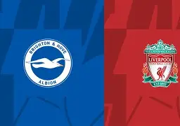 埃弗顿对布莱顿的比赛