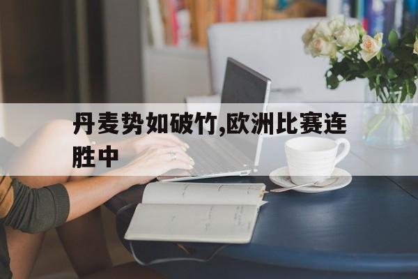 丹麦欧洲杯大名单公布