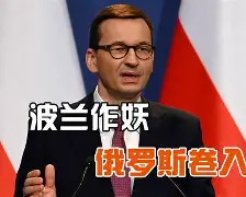 波兰战役详细讲解